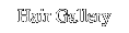 Hair Gallery