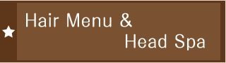 Hair Menu & Head Spa