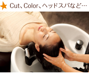 Cut、Color、ヘッドスパなど…