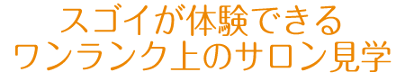 スゴイが体験できるワンランク上のサロン見学