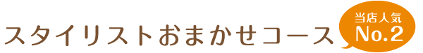 スタイリストおまかせコース 当店人気No.2